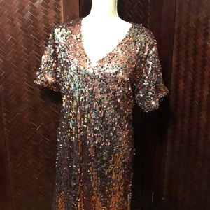 Universal Standard J. crew size M pink sequins